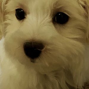 Meet your Posher, Erika